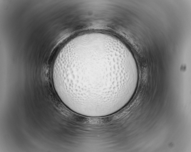 X0000103501258200810031620