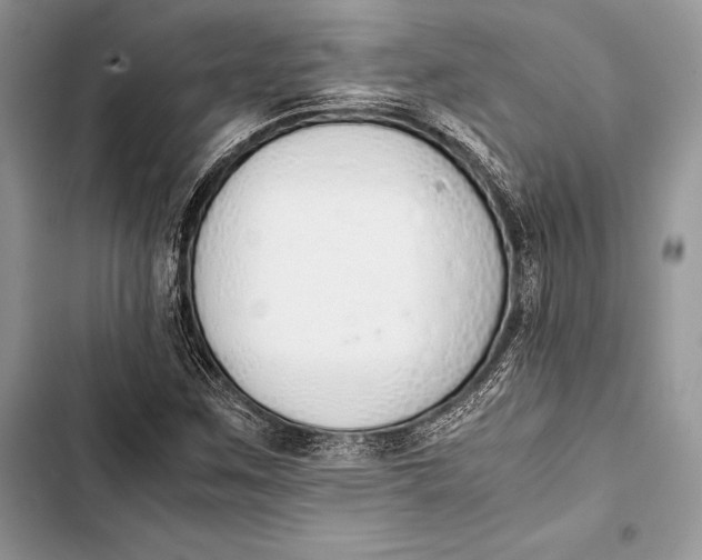 X0000103501259200810031620