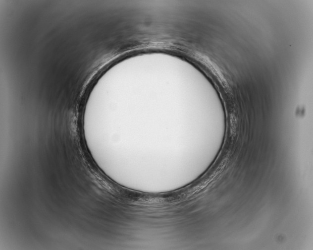 X0000103501260200810031620