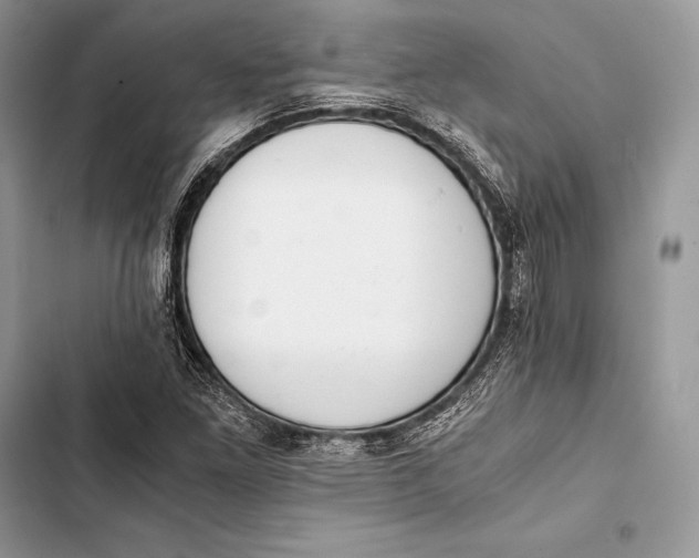 X0000103501261200810031620