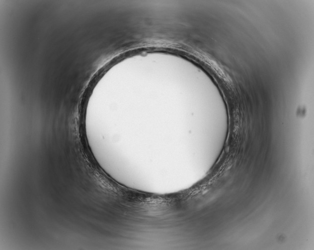 X0000103501264200810031620