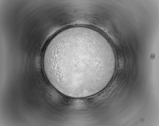 X0000103501266200810031620