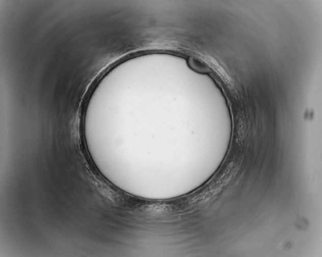 X0000103501268200810031620