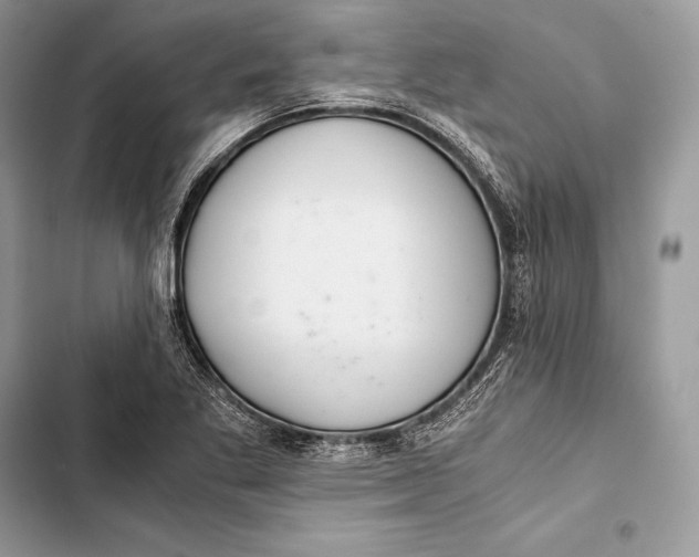 X0000103501269200810031620