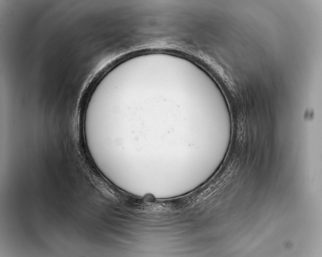 X0000103501270200810031620