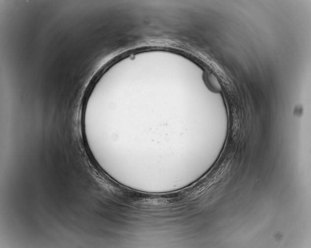 X0000103501272200810031620