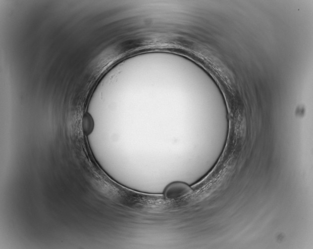 X0000103501273200810031620