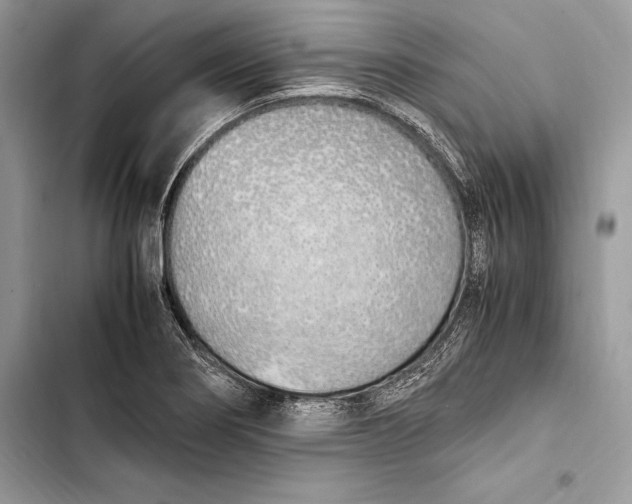 X0000103501274200810031620