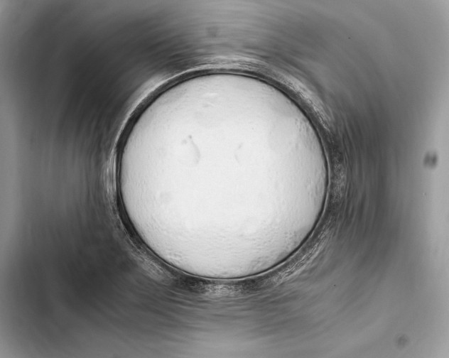 X0000103501275200810031620