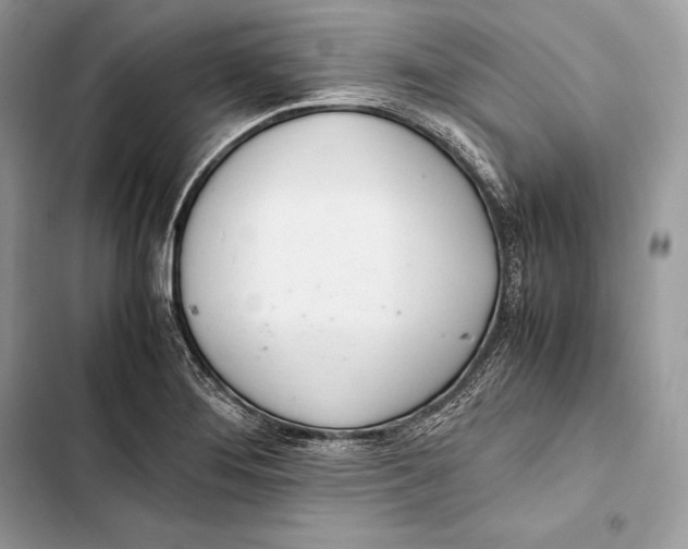 X0000103501276200810031620