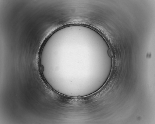 X0000103501277200810031620