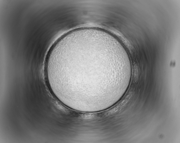 X0000103501278200810031620