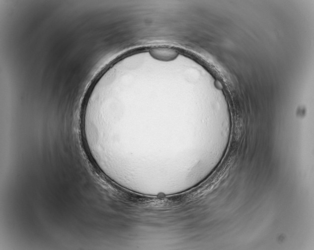 X0000103501279200810031620