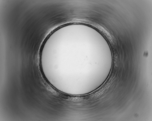 X0000103501280200810031620