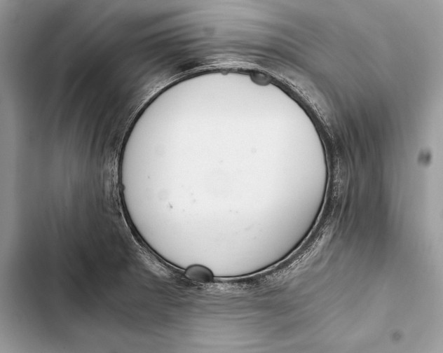 X0000103501281200810031620