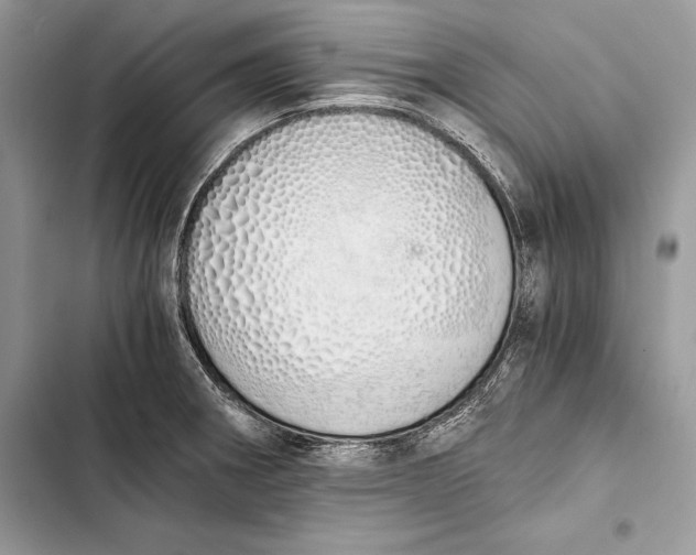 X0000103501282200810031620