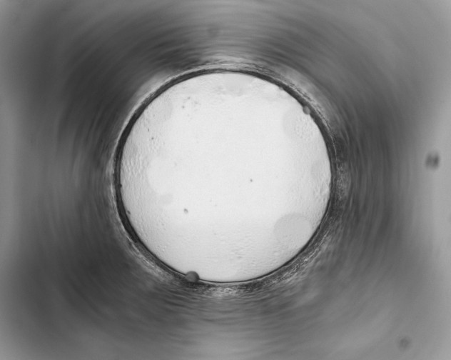 X0000103501283200810031620