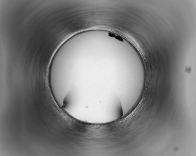 X0000103501284200810031620