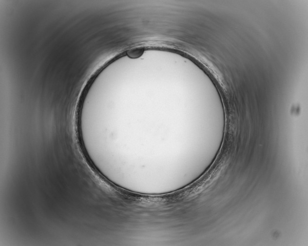 X0000103501285200810031620