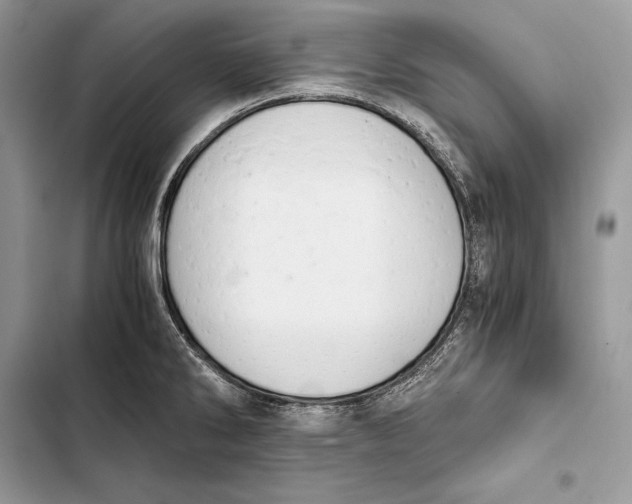 X0000103501286200810031620