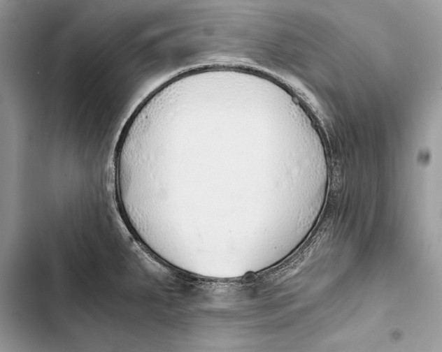 X0000103501287200810031620