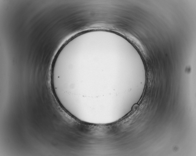 X0000103501288200810031620