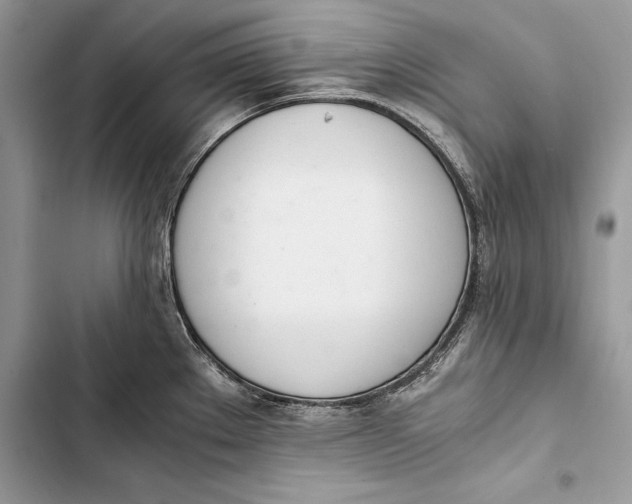 X0000103501289200810031620