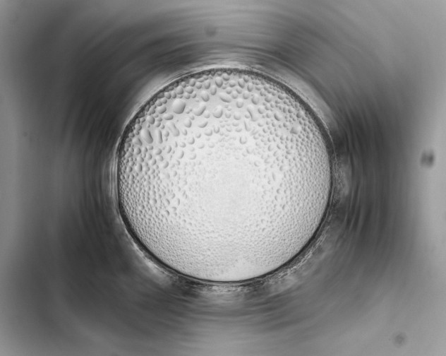 X0000103501290200810031620