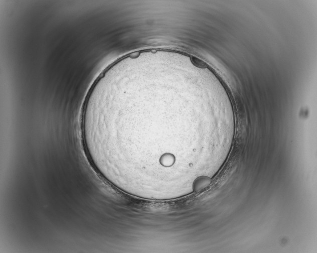 X0000103501291200810031620