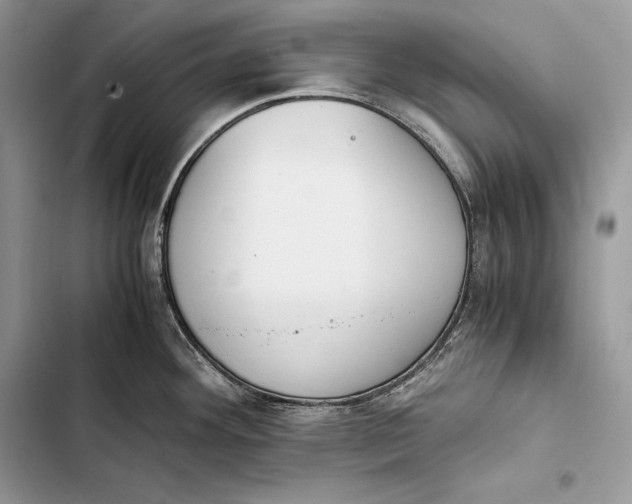 X0000103501292200810031620