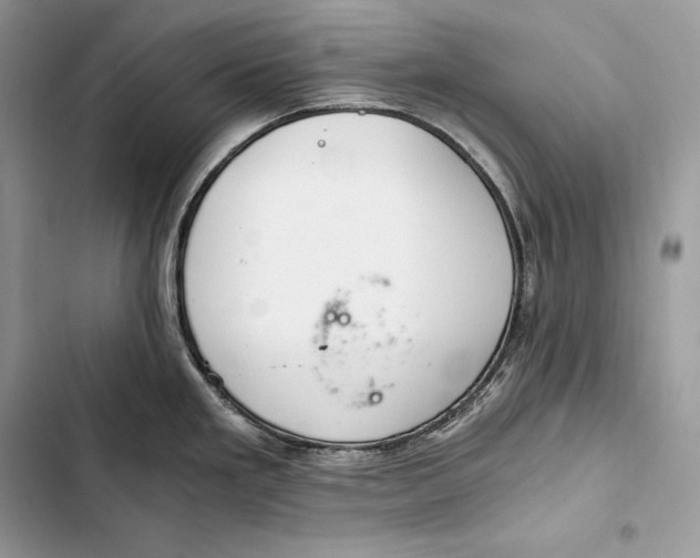 X0000103501293200810031620