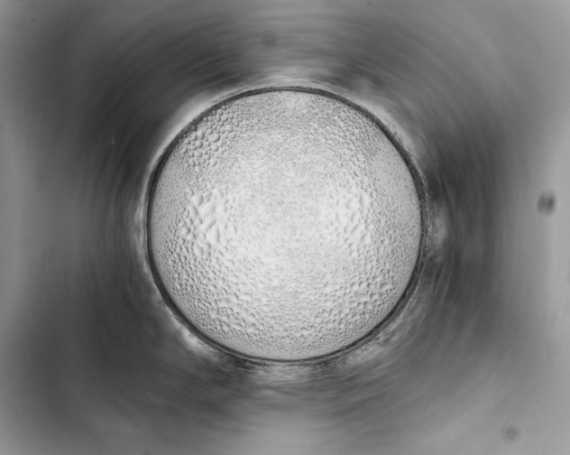 X0000103501294200810031619