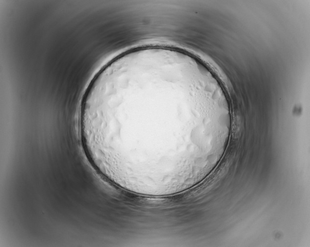 X0000103501295200810031619