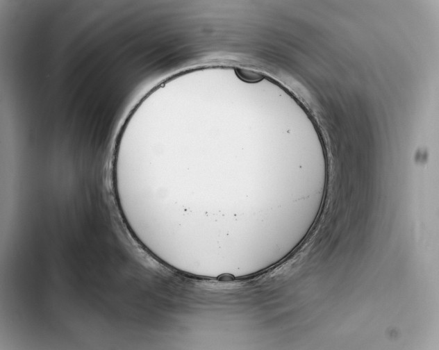 X0000103501296200810031619