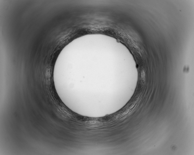 X0000103501300200810031619