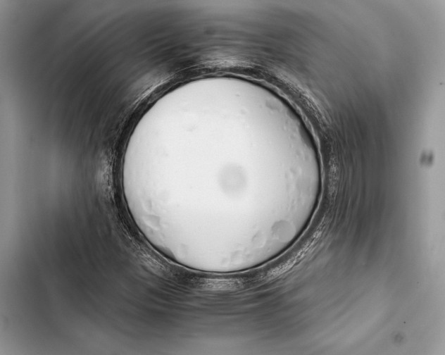 X0000103501305200810031619