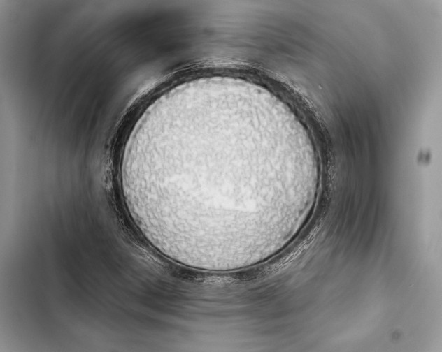 X0000103501306200810031619