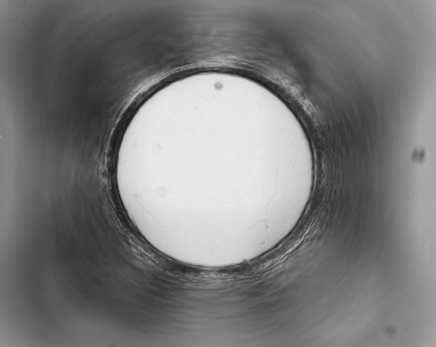 X0000103501308200810031619