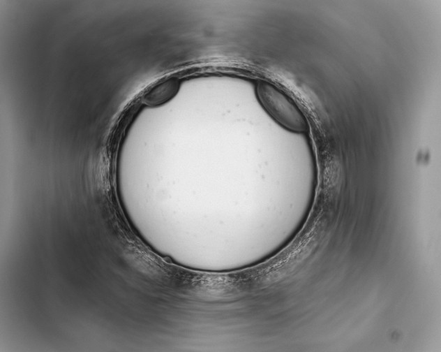 X0000103501310200810031619