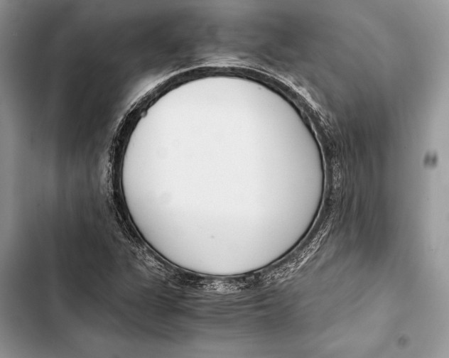 X0000103501311200810031619