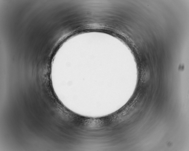 X0000103501314200810031619