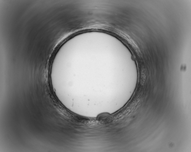 X0000103501316200810031619