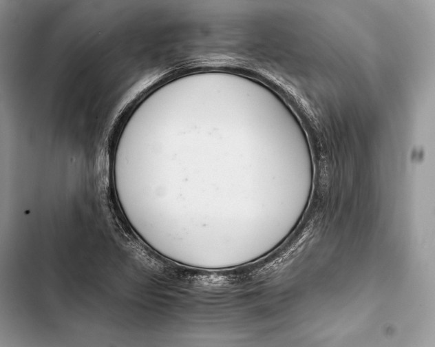 X0000103501317200810031619