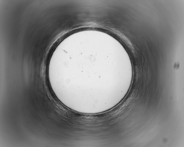 X0000103501318200810031619