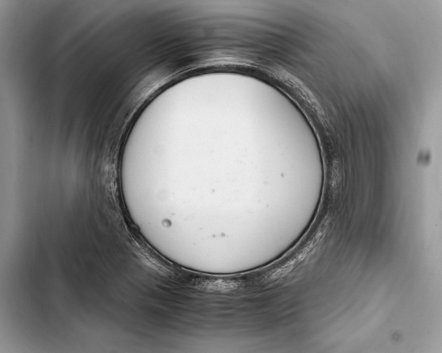 X0000103501321200810031619