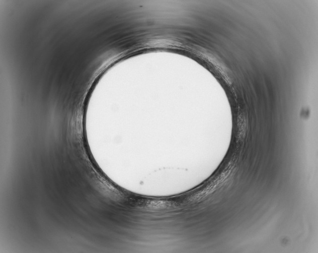 X0000103501322200810031619