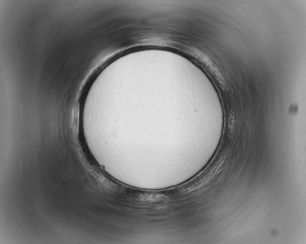 X0000103501323200810031619