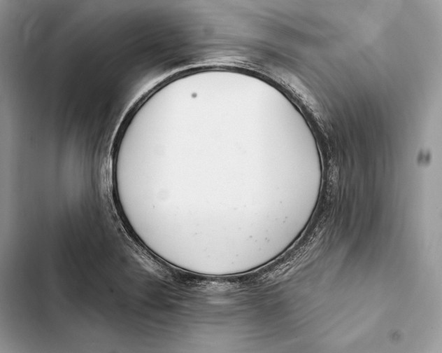 X0000103501324200810031619