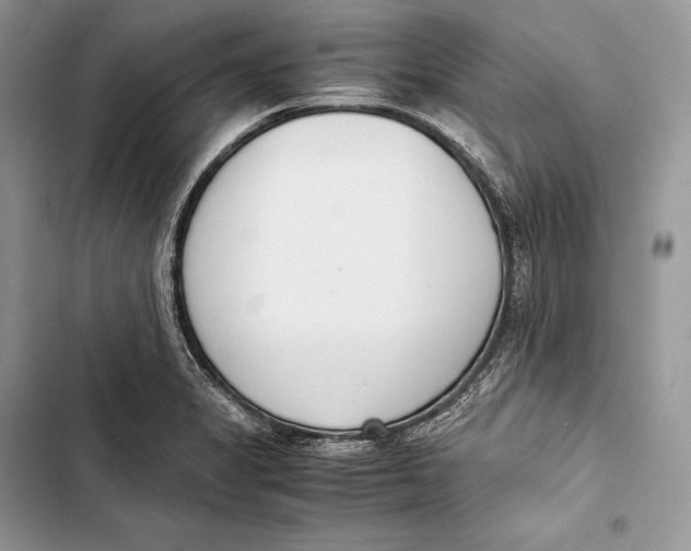 X0000103501325200810031619