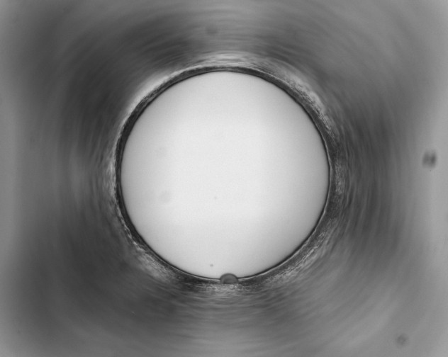 X0000103501328200810031619